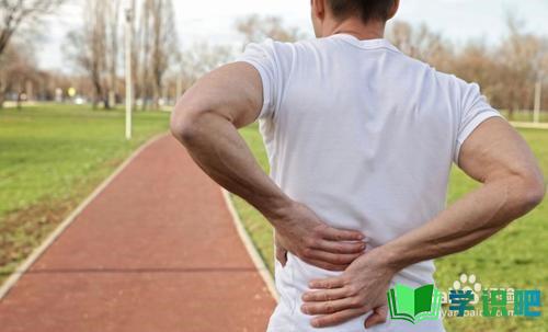 腰背酸痛是怎么回事？ 第2张