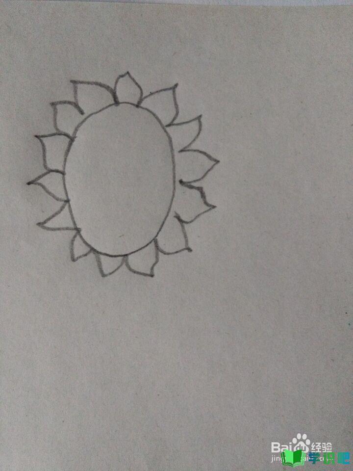 如何画向日葵简笔画？ 第2张