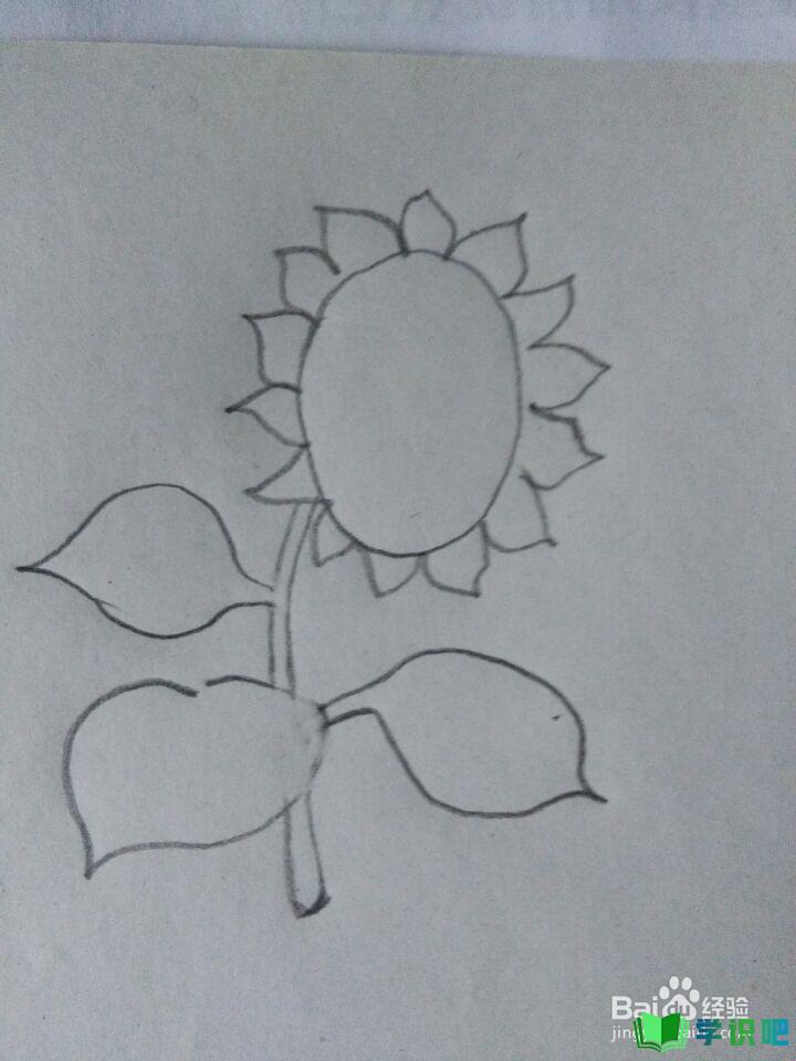 如何画向日葵简笔画？ 第4张