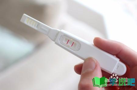 如何使用验孕棒检查是否怀孕？ 第7张