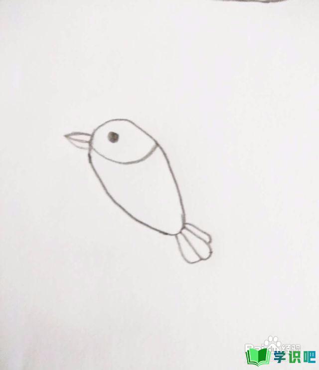 怎么画鸟的简笔图画？