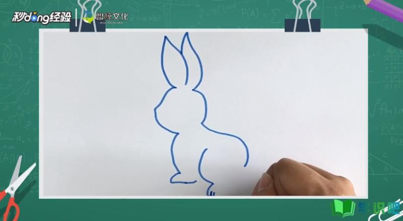 小兔子怎么画？ 第3张