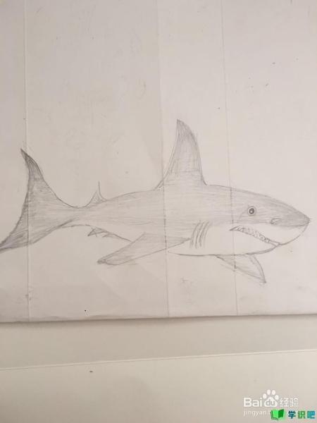 鲨鱼的简笔画怎么画？ 第1张