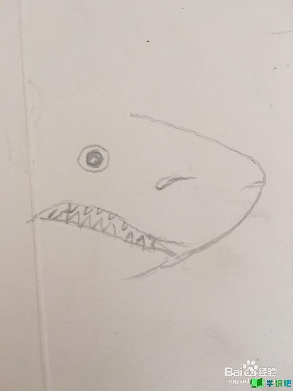 鲨鱼的简笔画怎么画？ 第3张