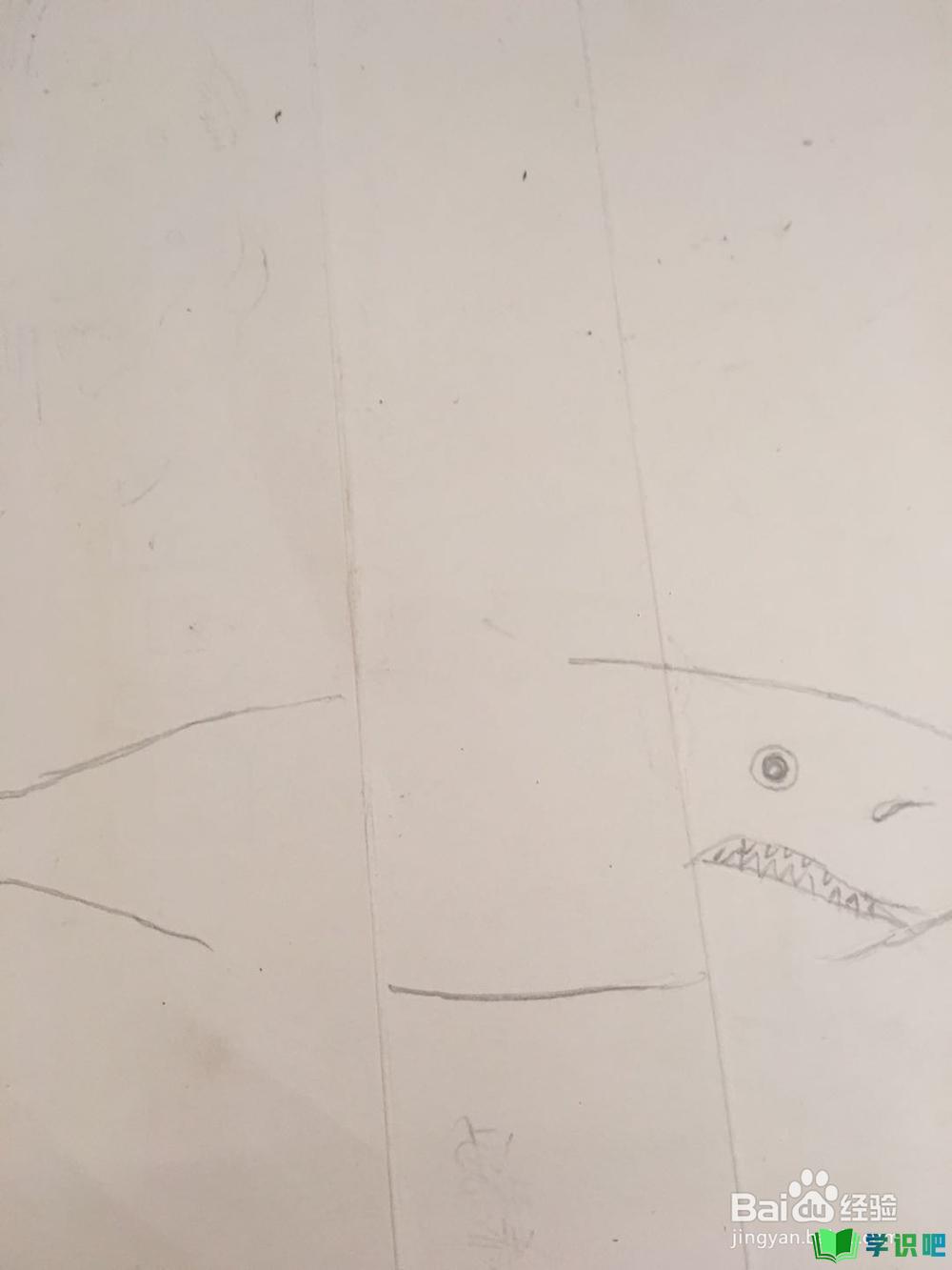 鲨鱼的简笔画怎么画？ 第4张