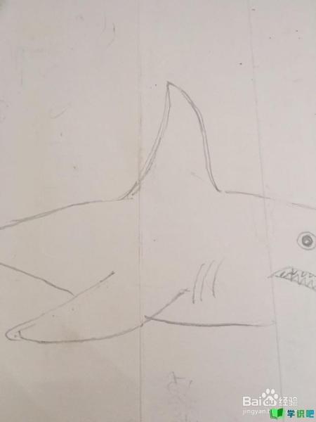 鲨鱼的简笔画怎么画？ 第5张
