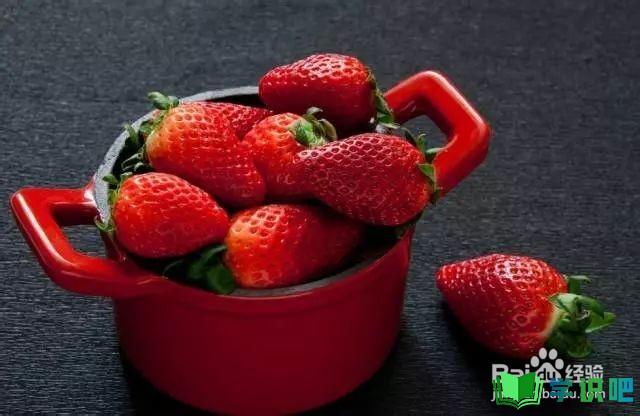 如何种植草莓？