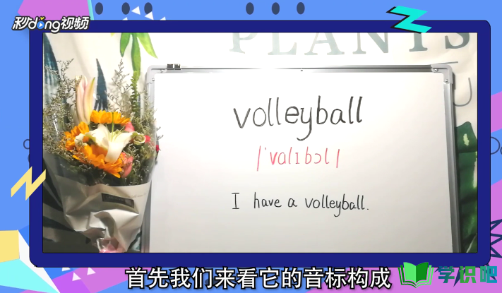 怎么读volleyball？
