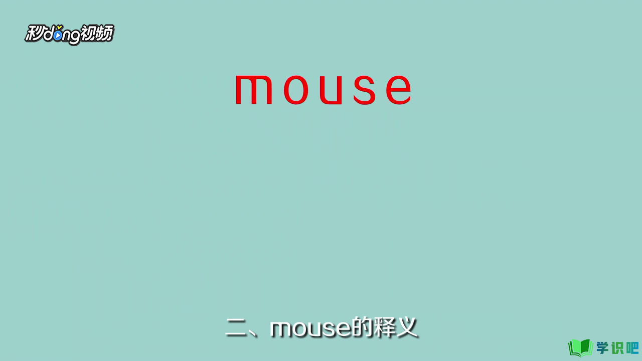 老鼠用英语怎么说？