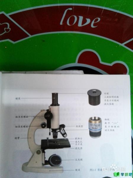如何正确使用显微镜？ 第1张