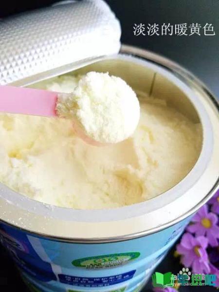 教你如何辨别奶粉品质？