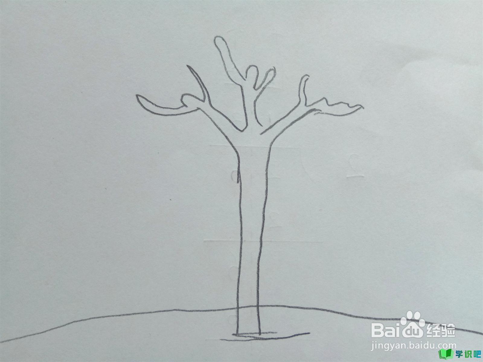 小学生画树怎么画？