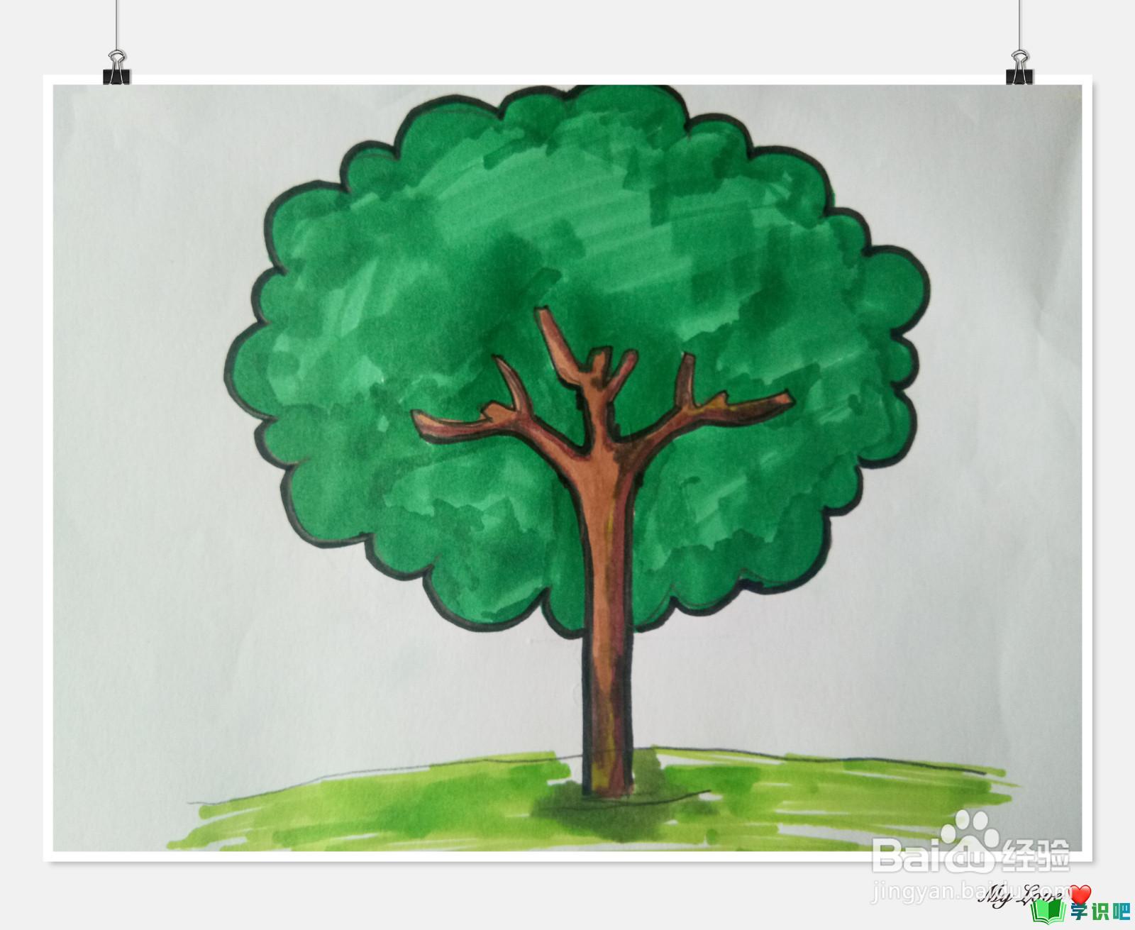 小学生画树怎么画？ 第1张