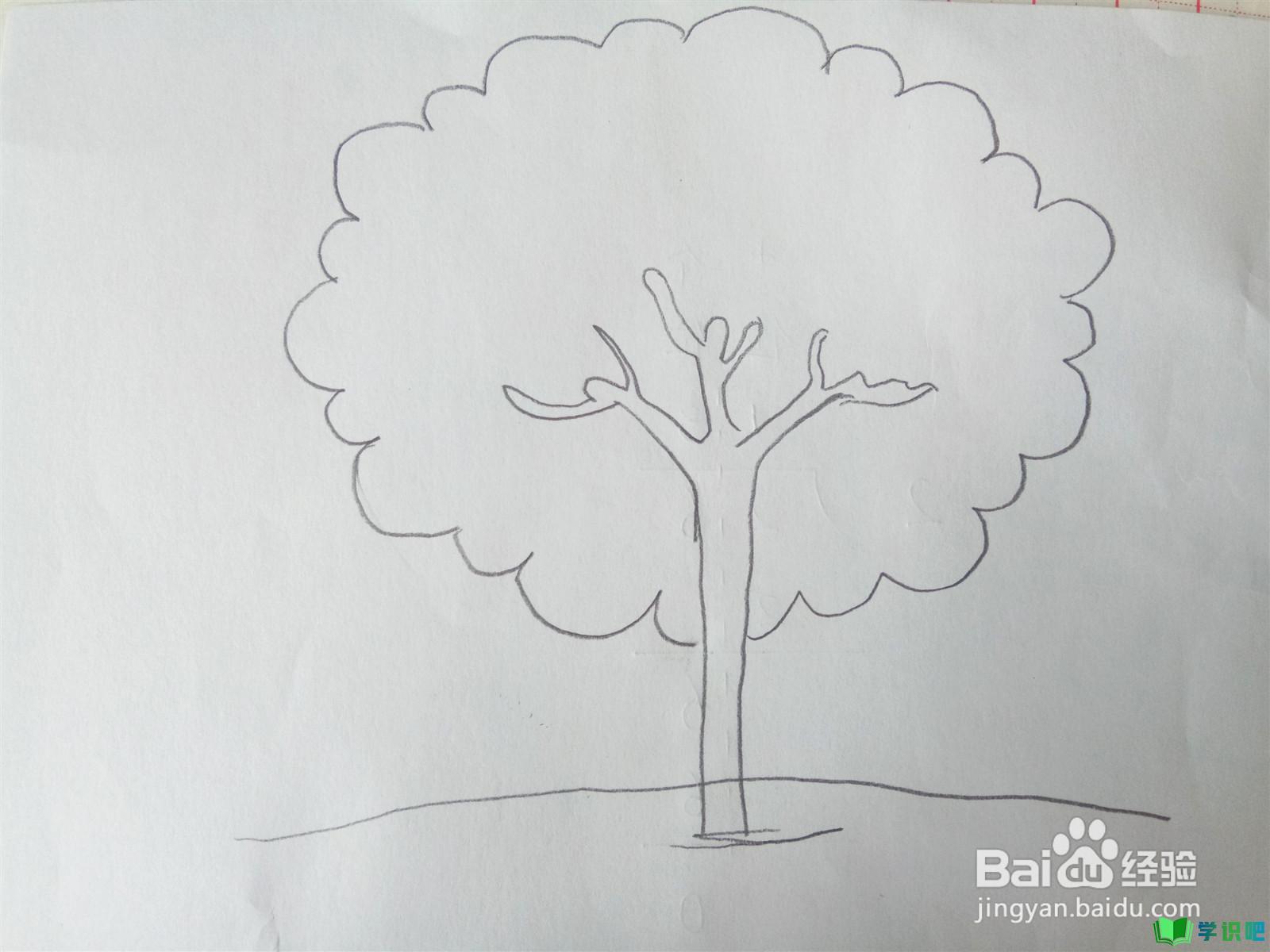 小学生画树怎么画？