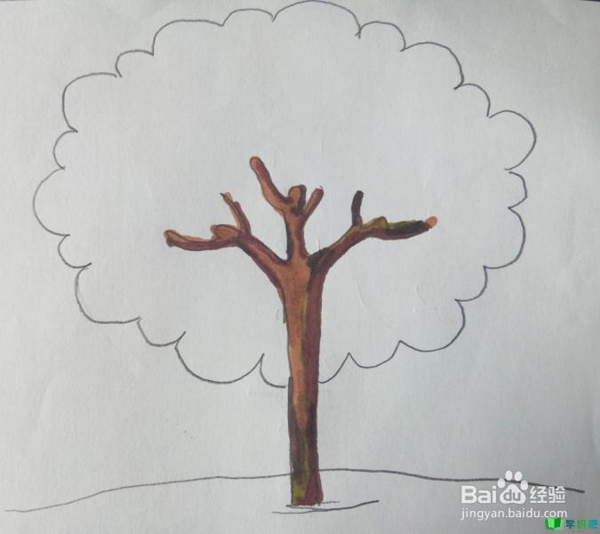 小学生画树怎么画？ 第4张