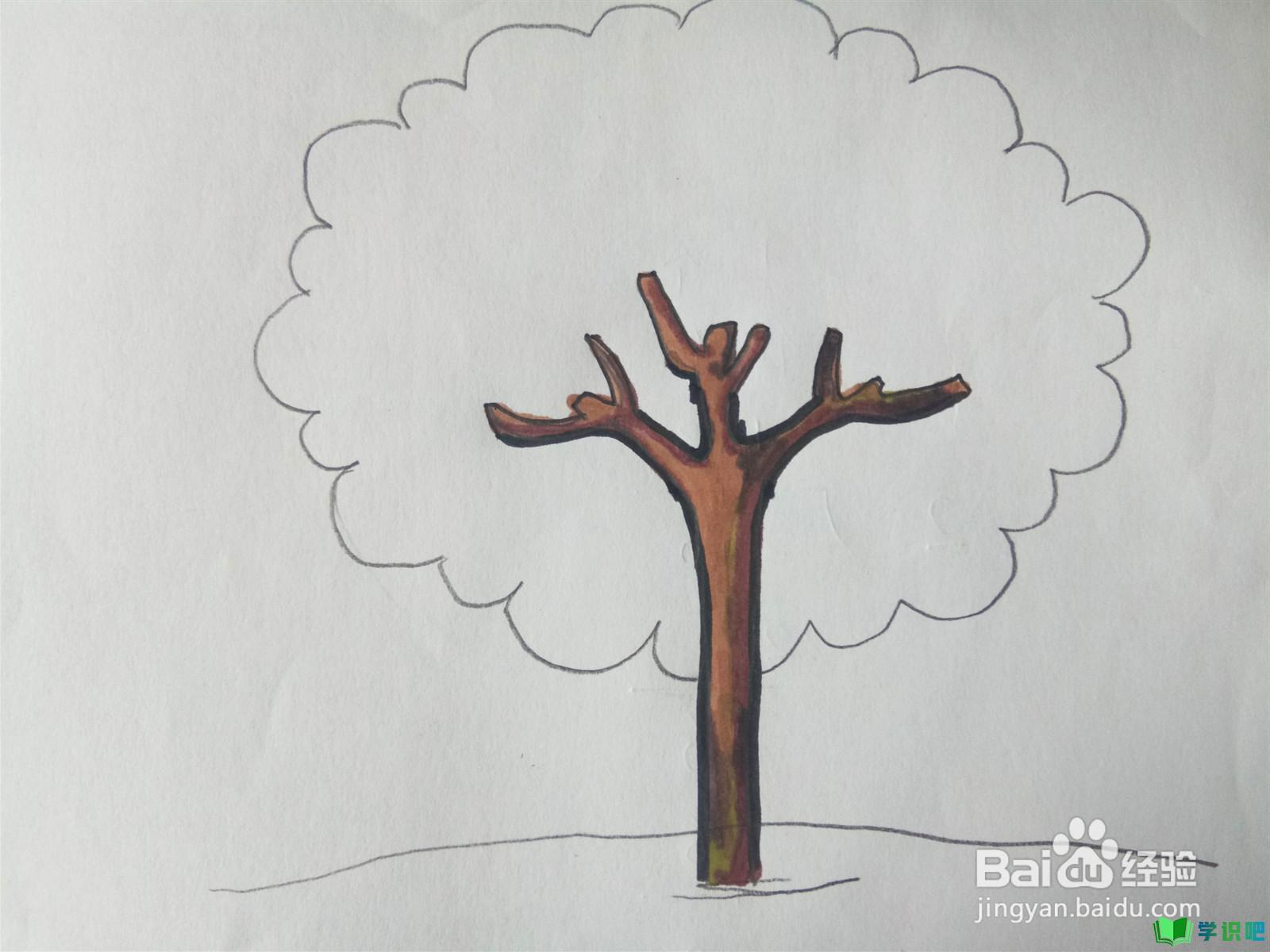 小学生画树怎么画？ 第5张