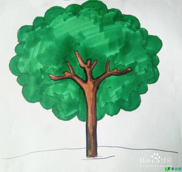 小学生画树怎么画？ 第6张