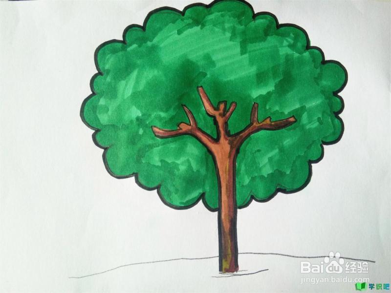 小学生画树怎么画？ 第7张