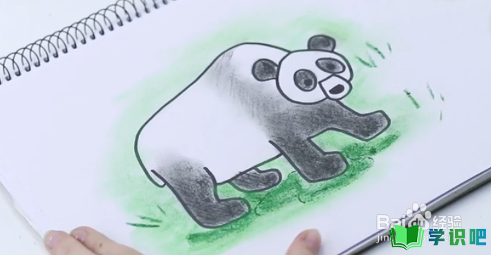 怎么画熊猫？ 第11张