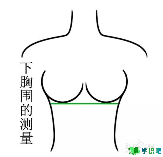 如何正确测量自己的胸围？ 第5张