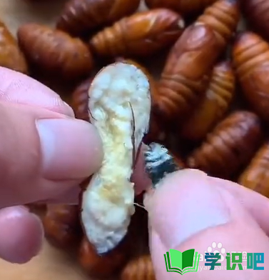 如何在家做出好吃的蚕蛹？