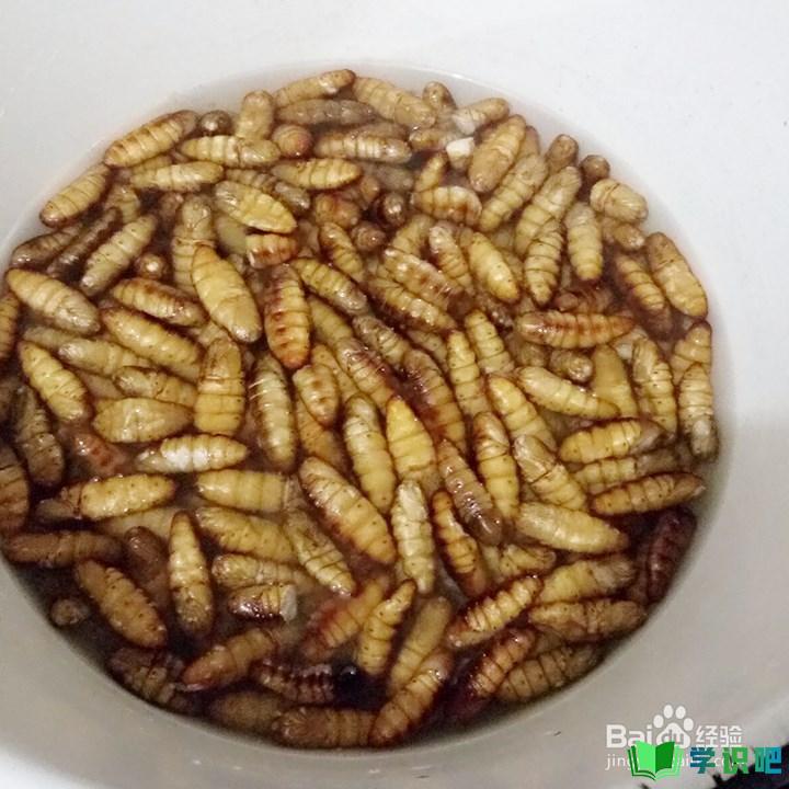 小蚕蛹怎么做好吃？