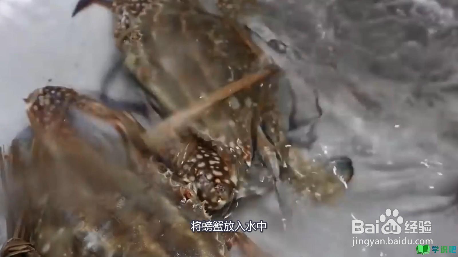 怎么清洗螃蟹？
