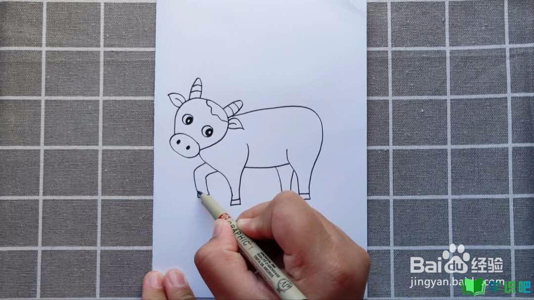 儿童画牛怎么画？