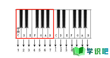 怎么快速识别钢琴键对应音的位置？