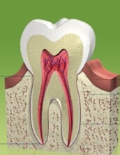 刷牙的时候牙龈出血了怎么回事？