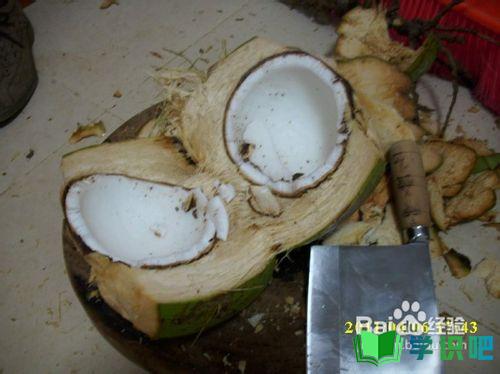 新鲜的椰子肉怎么吃？