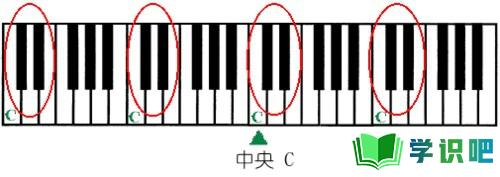 新手如何快速学会看钢琴五线谱？ 第2张