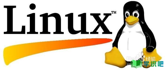 如何使用WinSCP完成Linux系统文件的上传和下载？ 第1张