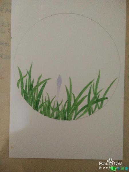 如何用白卡纸画一组写生野花？ 第2张