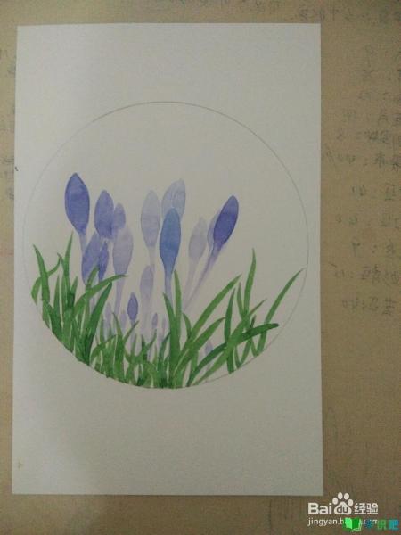 如何用白卡纸画一组写生野花？ 第3张