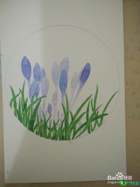 如何用白卡纸画一组写生野花？ 第4张