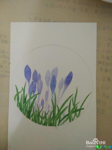 如何用白卡纸画一组写生野花？ 第5张