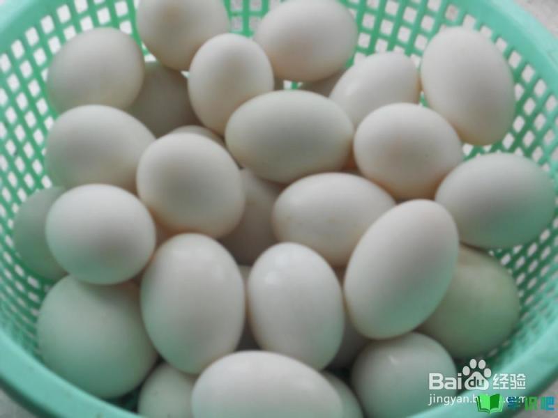 如何做好鸡蛋或鸭蛋的清洗工作？ 第1张