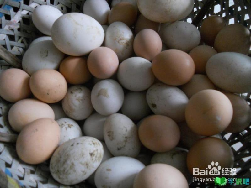 如何做好鸡蛋或鸭蛋的清洗工作？ 第2张
