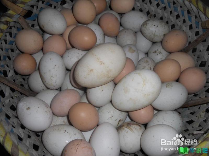 如何做好鸡蛋或鸭蛋的清洗工作？ 第3张
