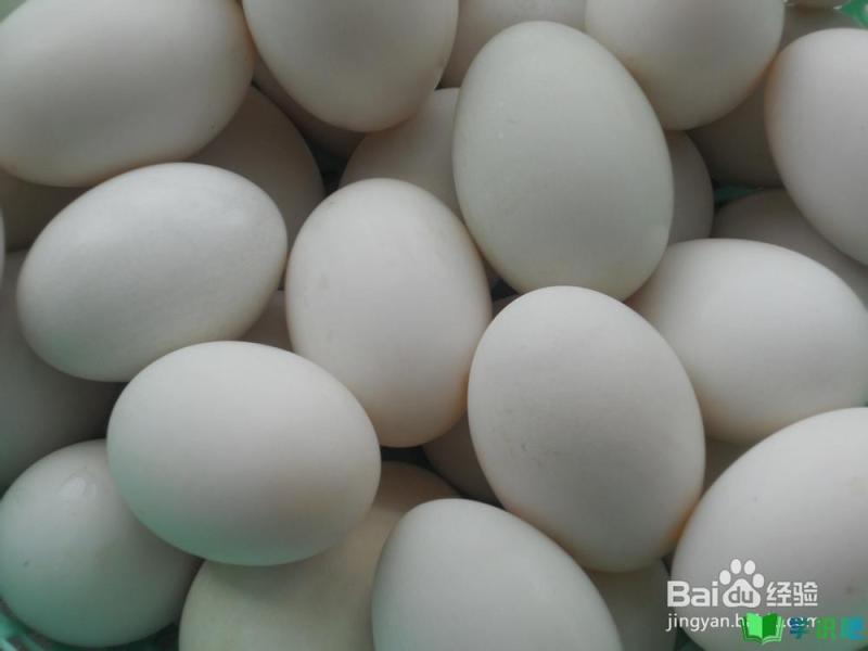 如何做好鸡蛋或鸭蛋的清洗工作？ 第7张