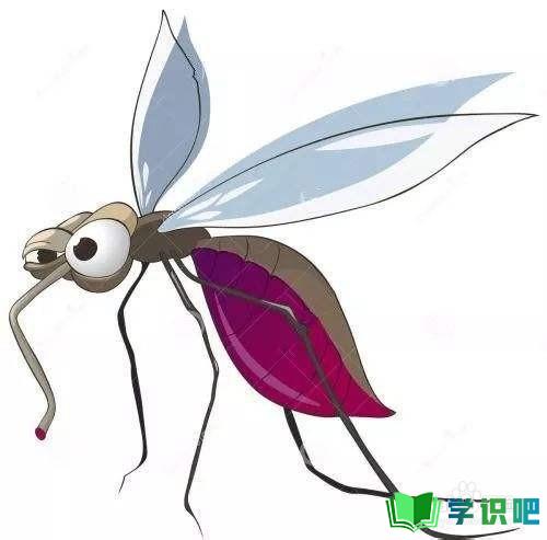 家里有很多蚊子怎么办？
