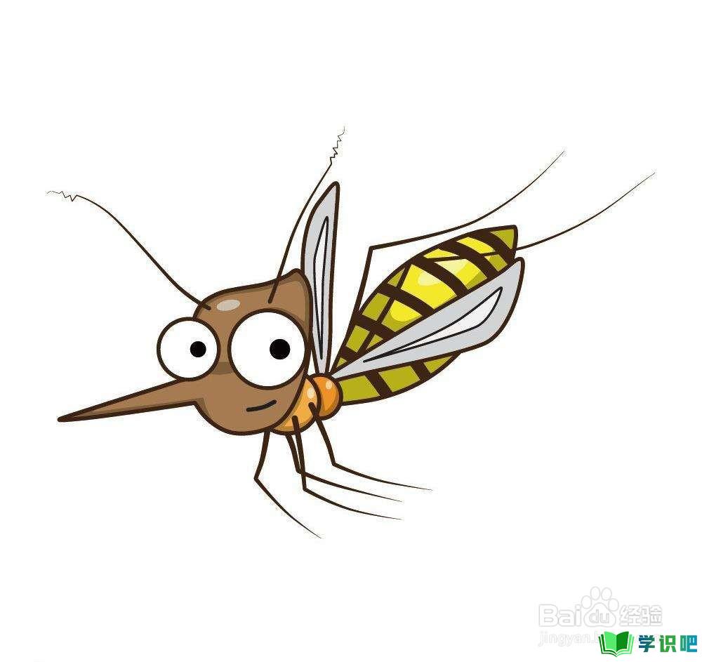 家里有很多蚊子怎么办？ 第4张