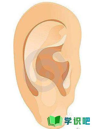 掏耳朵导致耳朵疼怎么办？ 第1张