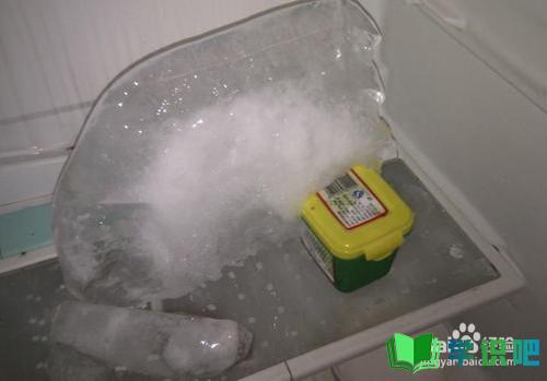 冰箱冷藏室结冰怎么办？ 第3张