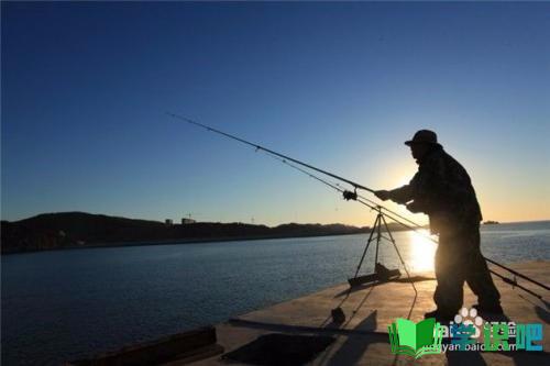 钓鱼时遇到降温起大风怎么办？ 第1张