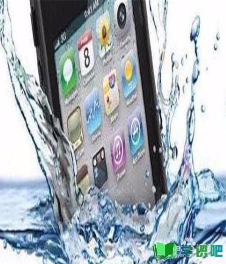 手机进水了怎么办把水震出来？ 第3张