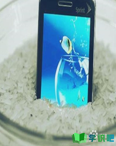 手机进水了怎么办把水震出来？ 第4张