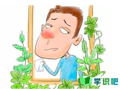 季节性鼻炎发作怎么办？ 第5张