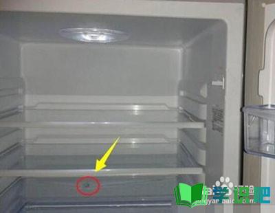冰箱下面结冰严重怎么办？ 第4张